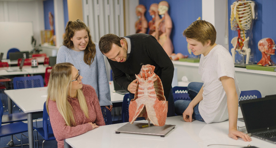Medical School students with anatomical models