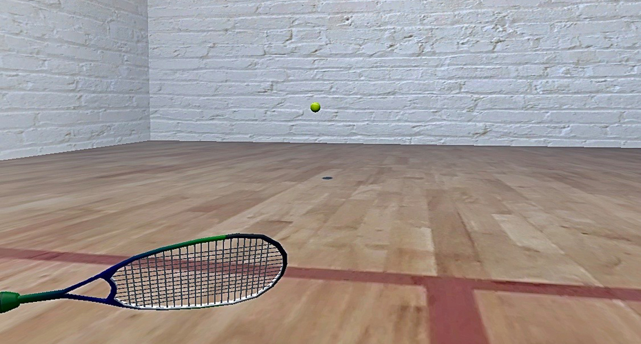 VR image of a squash racquet and ball