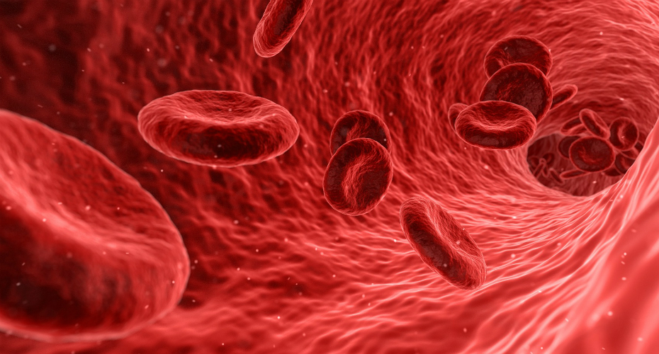 Graphic of red blood cells