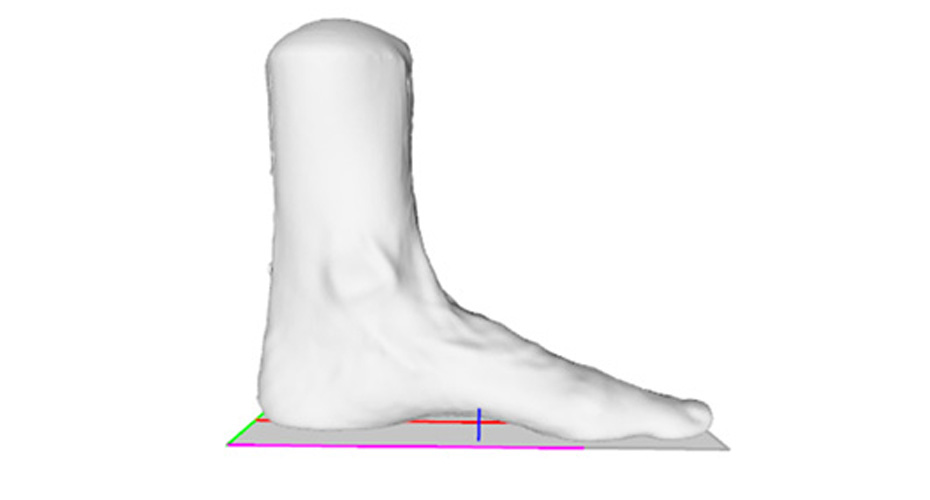A 3D scan of a left foot.
